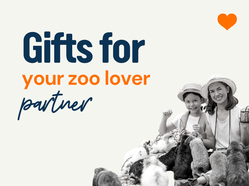75+ Gifts For Your Zoo Lover Partner